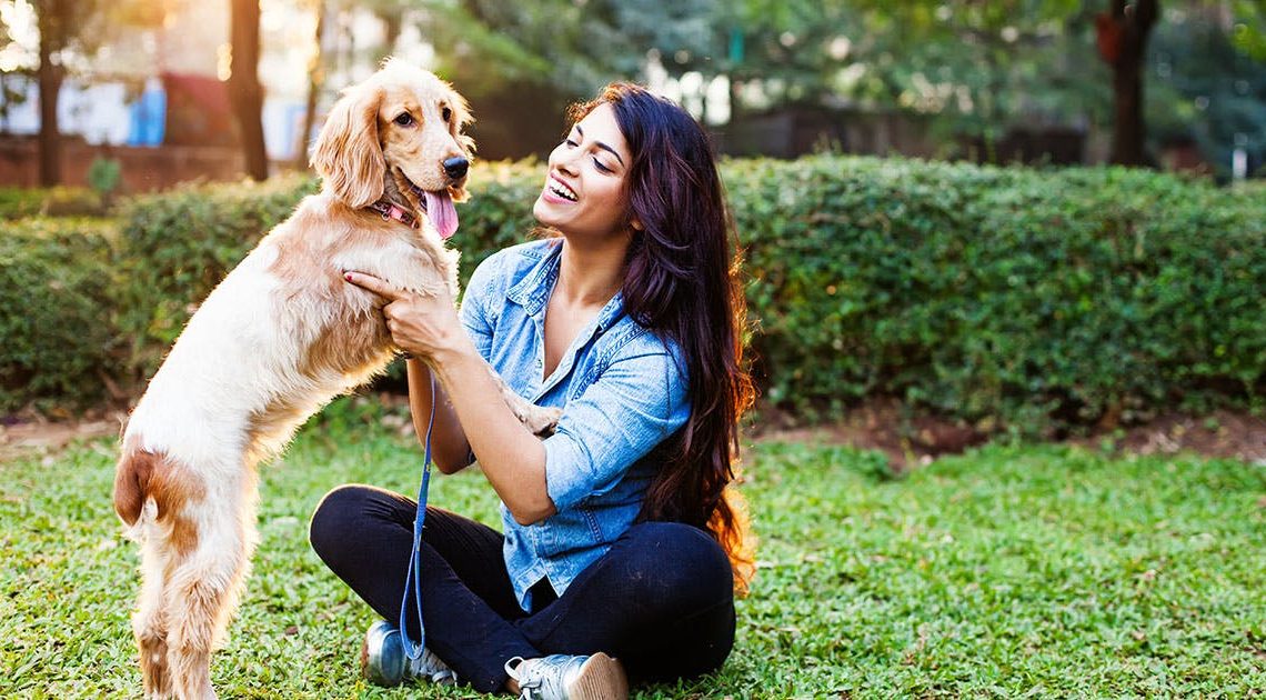 Obedience Training for Dogs in Mebane Made Easy