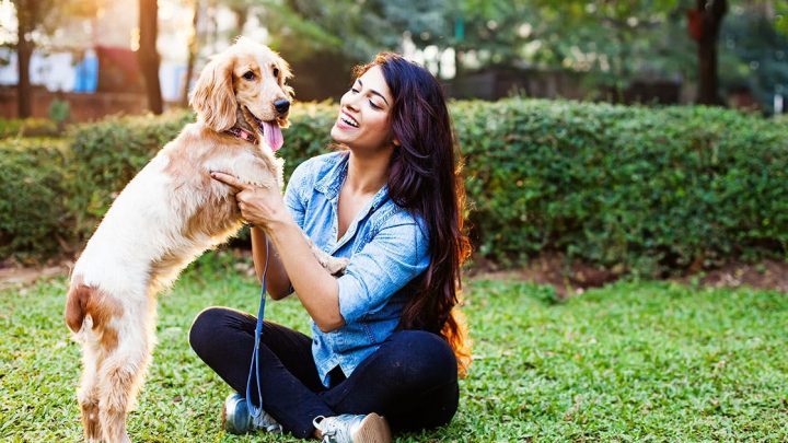 Obedience Training for Dogs in Mebane Made Easy